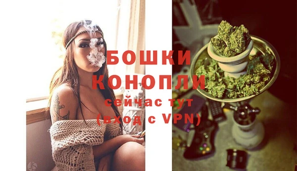 прущая мука Магас