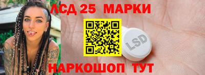 прущие грибы Будённовск
