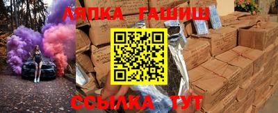 прущие грибы Будённовск